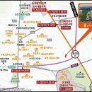 금당중학교 운동장 이미지