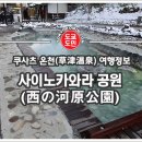 온천카 이미지
