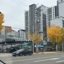 월배세차장 이미지