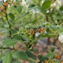 기특이네 농장 이미지