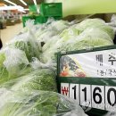 배추PC 이미지
