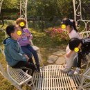 광교푸른숲도서관 강당 이미지