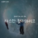 [뉴질랜드/남섬]빙하 위를 걷는 특별한 체험::타스만 빙하 헬리하이크 투어 후기 &amp; 예약방법