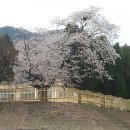 옥성농장 이미지