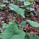 하루농장 이미지