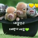행운로또 이미지