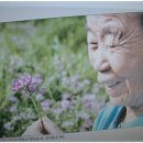 당신이꽃 이미지