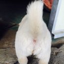 대박이 PC 이미지