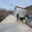 산방주유소 이미지