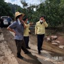 녹전시장 이미지