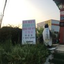 약산정일