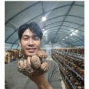 순화농장 이미지