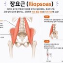 윤필라테스 - 원주시 단구초교길 21-2 | 윤필라테스