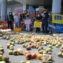 뿌리농산물