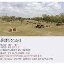 가을노을C 이미지
