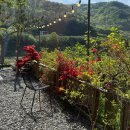 곡성-199 이미지