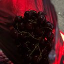 (주)오성투어 | 25.2.넷째주(반차쓰고 제주도 갔다가 서울 오자마자 바로 출근한 연휴1)