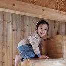 등억알프스야영장 이미지