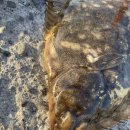 문중방파제 이미지