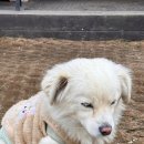 오크캠핑 이미지