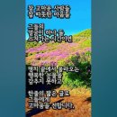 "인연의 노래" 이미지