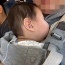 742 | [NAGOYA]6개월 아기와 함께한 인천-나고야 KE741 Ι 나고야-인천 KE742 후기(+유아식,기내식, 타다택시)