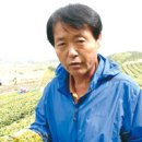 월출녹차 이미지