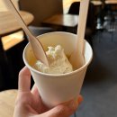 아모리노 | 체코 프라하 디저트 맛집 추천 아포카토 내돈내산 후기, 아모리노(AMORINO)