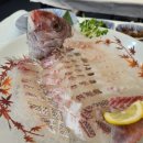 일출봉활어횟집 이미지