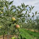 자연식탁 이미지