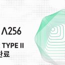 256 이미지