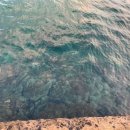 블루오션민박 이미지