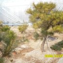 백송 농장 이미지