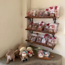 안면도발리 | 태안 안면도 애견동반 카페 실내O 강아지랑 함께 즐기기