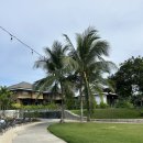 돌핀노래방 | 필리핀 보홀 비 그랜드 리조트 상세 후기 1탄, 장단점 비교