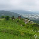 고궁식육식당 | [경상남도 거제시] 거제곤충생태박물관