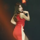 포토라인 이미지