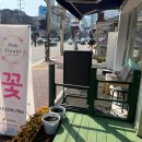 [합정] 공연 축하 꽃 선물 핑크플라워 방문 후기 (내돈내산)