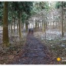 조수돗곳물 이미지