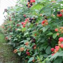 종복농장 이미지