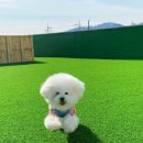 글램펜션 이미지