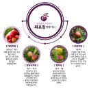 최고집농원
