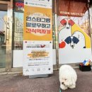 아우우(Aww) 이미지