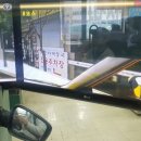 스피드운전면허