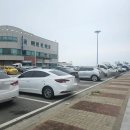 [전북 부안]&#34;변산반도 횟집&#34; 신선한 회와 다양한 해산물을 맛볼 수 있는 &lt;VIP 4인 코스&gt; 솔직후기