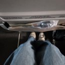 336 | 아시아나 상하이 푸동 PVG - 서울 ICN 탑승 후기 (OZ336)