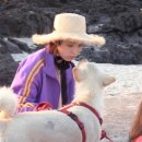 낯가림 민박 이미지