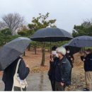 창원 내동패총 이미지