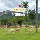 동인목장 | 베트남여행 나트랑 판랑사막투어 코스 양떼목장 위치 입장료 내돈내산 후기