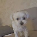 광영세탁 | 34주